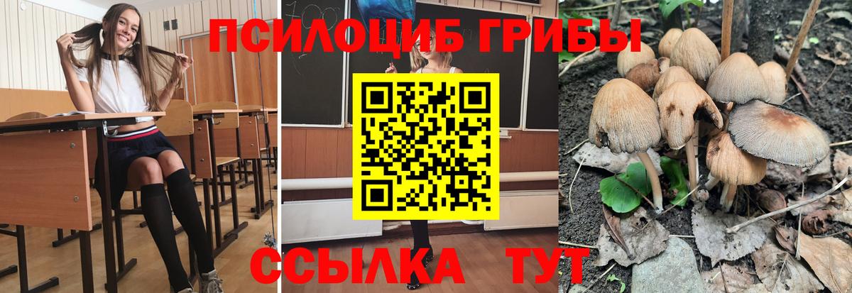 Псилоцибиновые грибы мицелий Костомукша