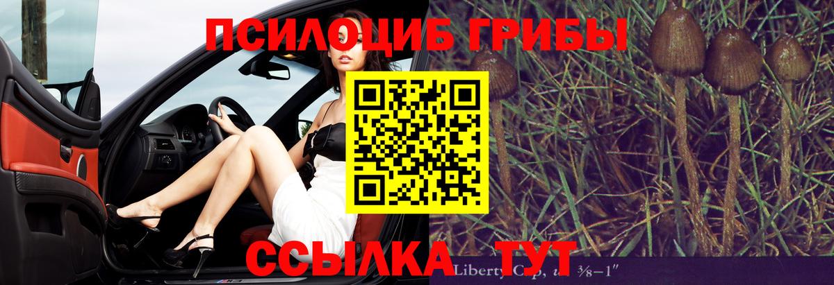 Галлюциногенные грибы мицелий  Вход с VPN  купить наркотик  Костомукша 